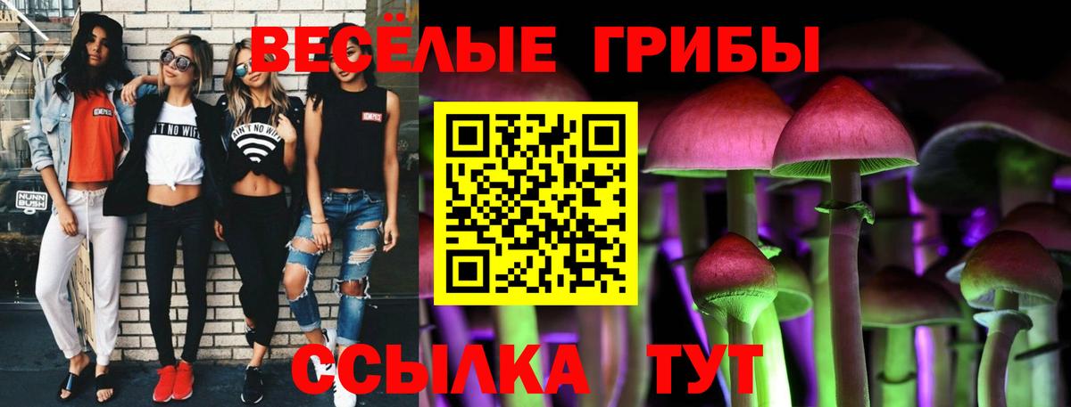 сколько стоит  Вход с VPN  Псилоцибиновые грибы ЛСД  Обнинск  Псилоцибиновые грибы мухоморы 